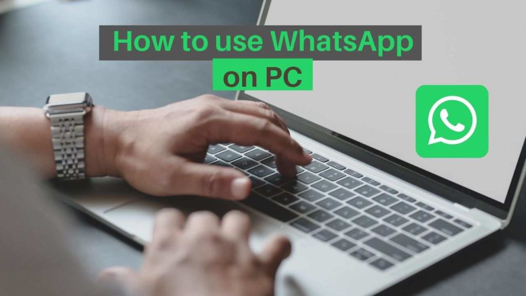 手把手教你下 WhatsApp 最新版本:适配安卓 /iOS,步骤超简单