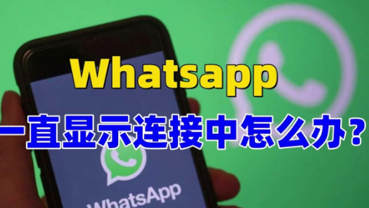 WhatsApp无法连接网络怎么办？原因与解决方法