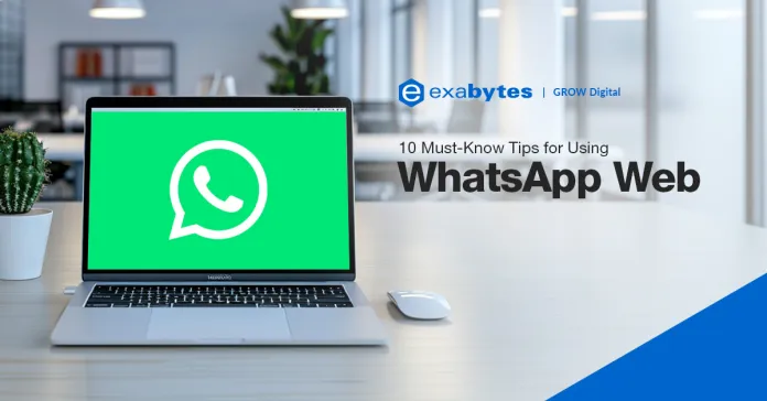 WhatsApp消息自毁模式设置指南：保护隐私必备技巧