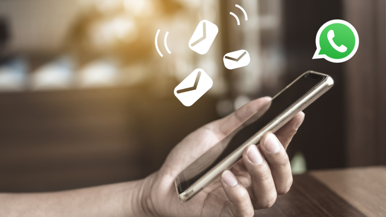 WhatsApp无法登录或连接失败？完整解决方案在这里