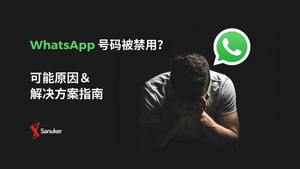 WhatsApp无法登录或连接失败？完整解决方案在这里