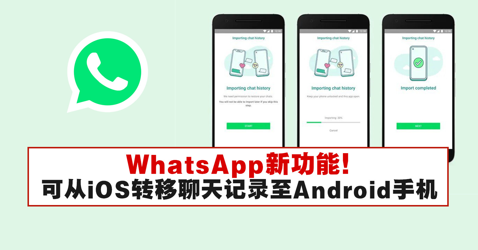 WhatsApp 误删聊天纪录急救全攻略：云端备份、恢复方法与常见问题解析