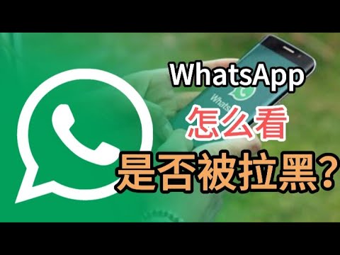 WhatsApp 封鎖判斷指南|單勾訊息、無法撥打與資料不更新的完整說明