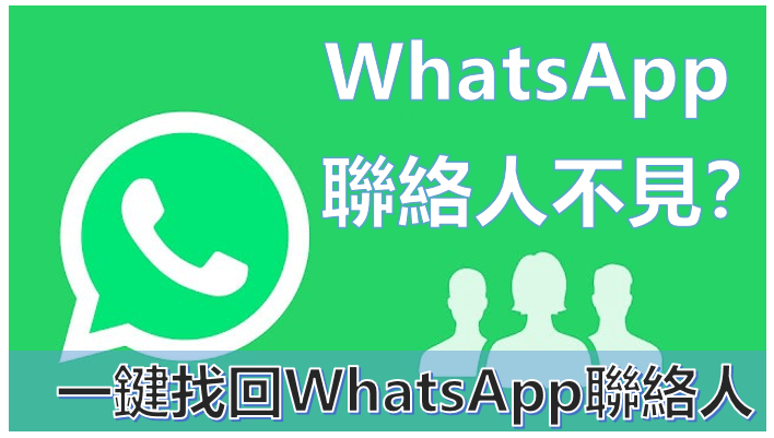 如何在WhatsApp查看联系人信息？
